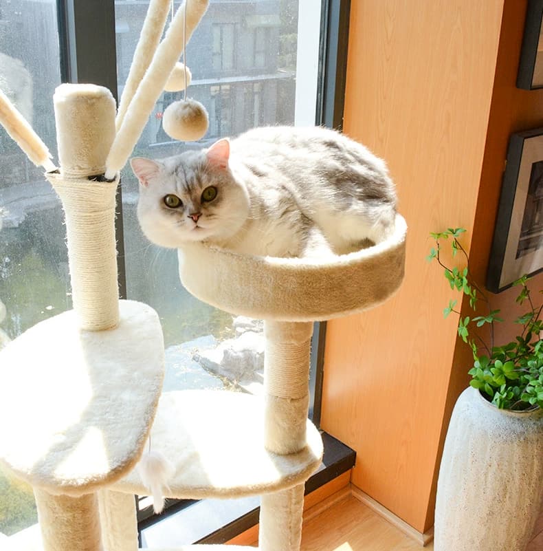 Calico Cat Series – Deluxe Edition Cat Tree Calico Cat Series – Deluxe Edition Cat Tree