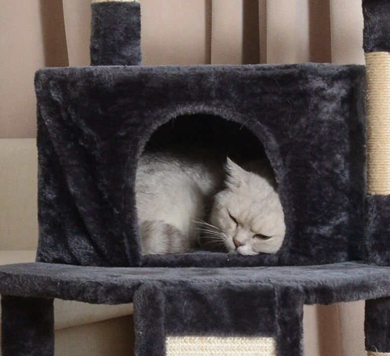 Dynamic Racing-Themed Cat Tower Dynamic Racing-Themed Cat Tower