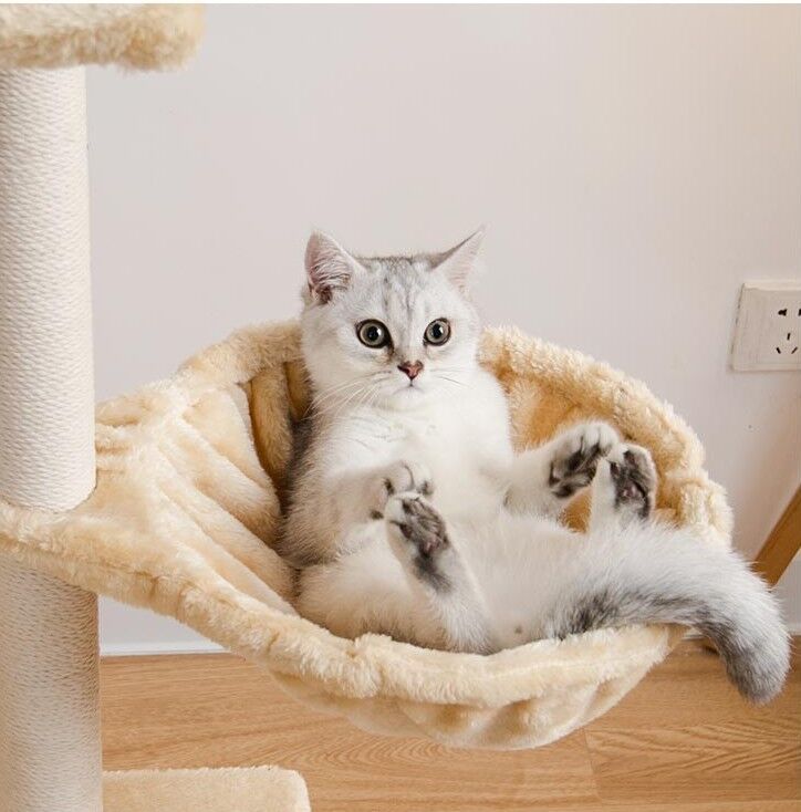 premium 5 level cat tower premium 5 level cat tower